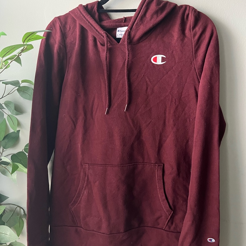 Champion fitted hoodie sweater